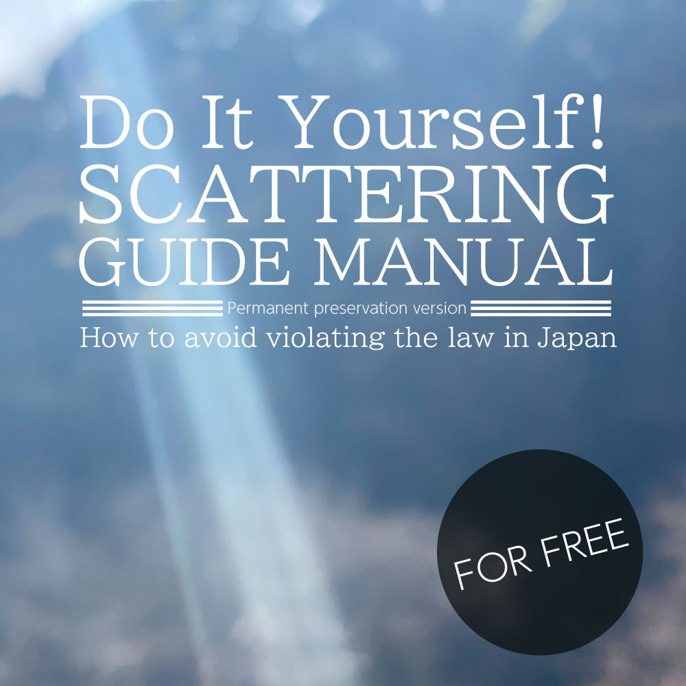 Do It Yourself! Scattering Guide Manual