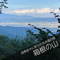 箱根の山へ山林散骨