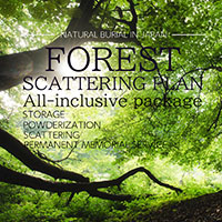 NATURAL BURIAL IN JAPAN FOREST SCATTERING PLAN IN DAYTIME
