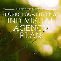 INDIVISUAL FOREST SCATTERING AGENCY PLAN