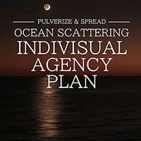 INDIVISUAL OCEAN SCATTERING AGENCY PLAN