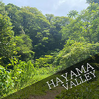 Scattering ashes in HAYAMA VALLEY