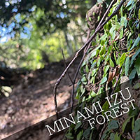 Scattering ashes in MINAMI-IZU FOREST
