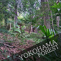Scattering ashes in YOKOHAMA FOREST